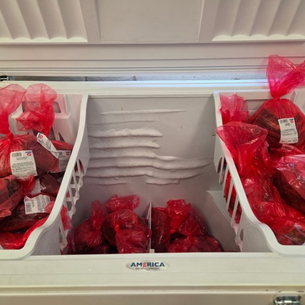 Chest freezer stocked with frozen meats in red bags